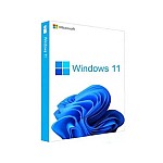 Microsoft Windows GGWA - Windows 11 Professional - Legalization GetGenuine (CSP Perpetual) E-License