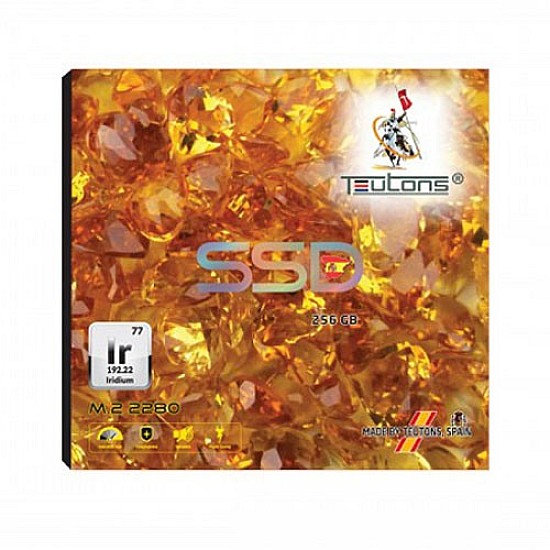 TEUTONS IRIDIUM 256GB 2280 M.2 SSD