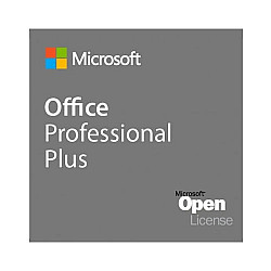 Microsoft Office LTSC Professional Plus Open License 2021