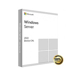 Microsoft Windows Server 2022 E-License