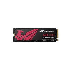 OCPC HP MFL-300 M.2 256GB NVME SSD