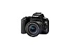 CANON EOS 250D 24.1 MP DSLR Camera With 18-55mm IS STM Lens