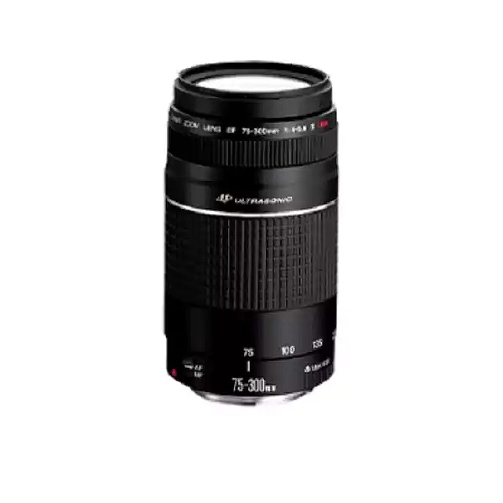 Canon EF 75300mm f/45.6 USM Zoom Lens Price in Bangladesh Computer
