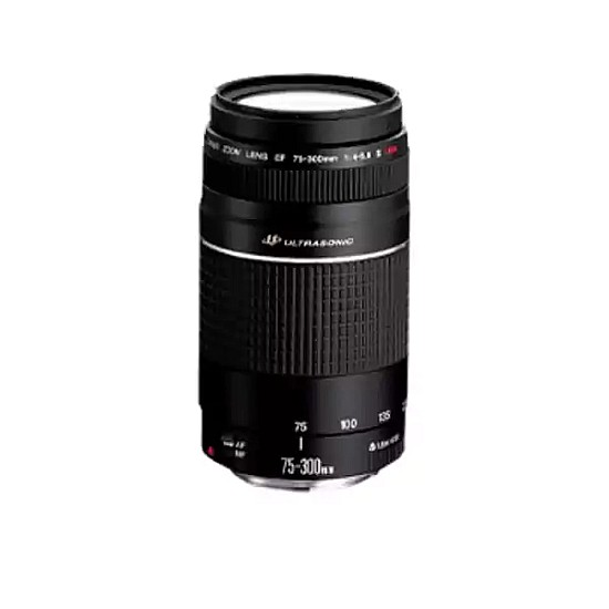 Canon EF 75-300mm f/4-5.6 USM Zoom Lens