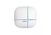 Netis WF2520P 300Mbps Wireless N High Power Ceiling-Mounted Access Point