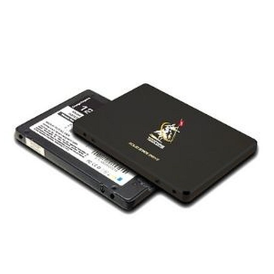 Teutons PLATINUM 256GB 2.5 Inch SATA Internal SSD