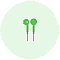 Earphones